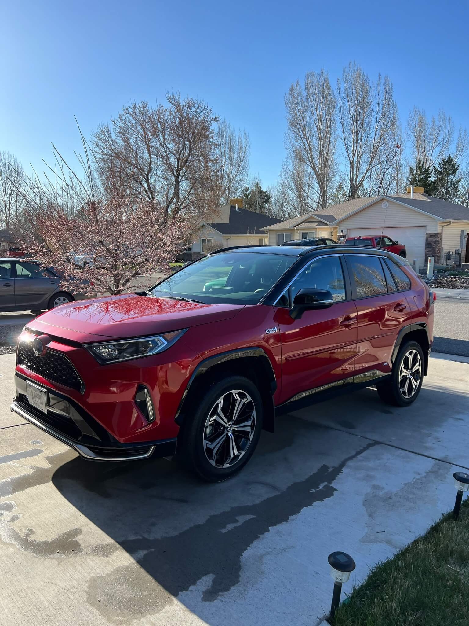 Toyota RAV4 Prime featuring window tint with UV protection, heat reduction, and enhanced styling